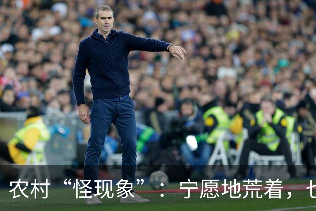 农村“怪现象”：宁愿地荒着，也不种粮食，把专家气够呛，咋回事